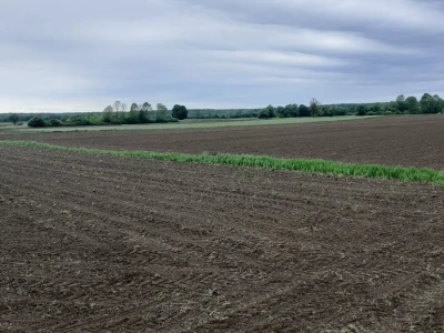 Agronomski  fakultet u Zagrebu
