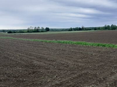 Agronomski  fakultet u Zagrebu