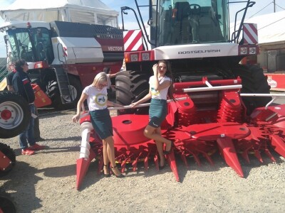 Na sječkama silokombajna