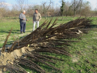 Agropol d.o.o. iz Vrbnika