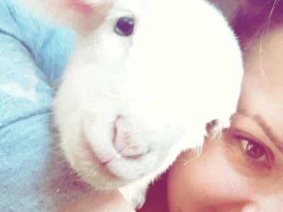 Agroselfie