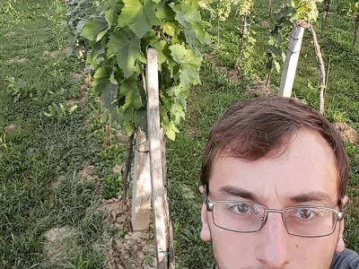 Agroselfie