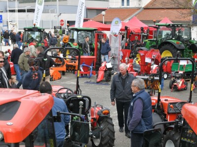 AgroTerra Istra - 2. međunarodni poljoprivredni sajam