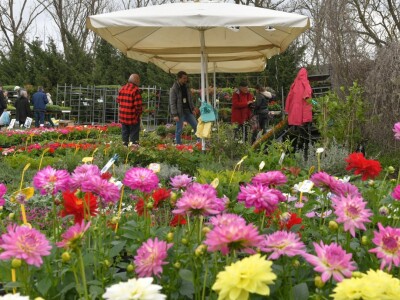 AgroTerra Istra - 2. međunarodni poljoprivredni sajam