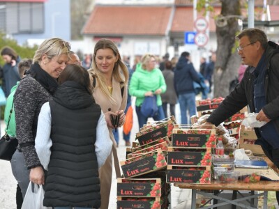 AgroTerra Istra - 2. međunarodni poljoprivredni sajam