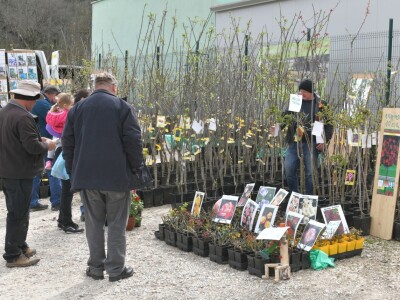 AgroTerra Istra - 2. međunarodni poljoprivredni sajam