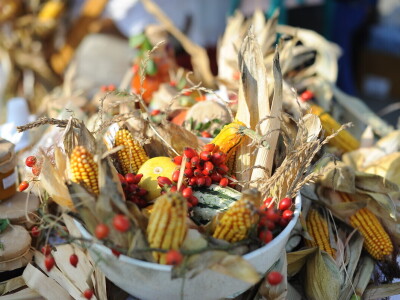 AgroTour Slavonija 2019 AgroTour Slavonija 2019