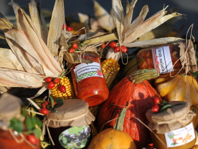AgroTour Slavonija 2019 AgroTour Slavonija 2019