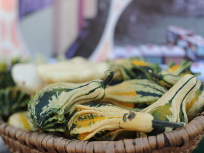 AgroTour Slavonija 2019 AgroTour Slavonija 2019