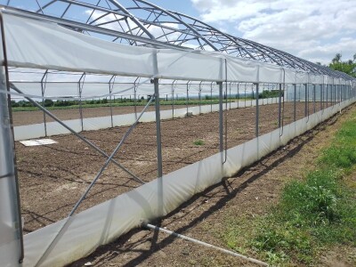 Agrotovarnik voće i povrće