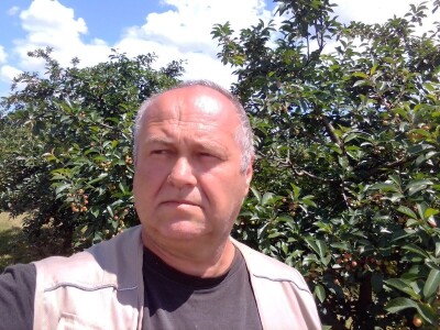 Agrotovarnik voće i povrće