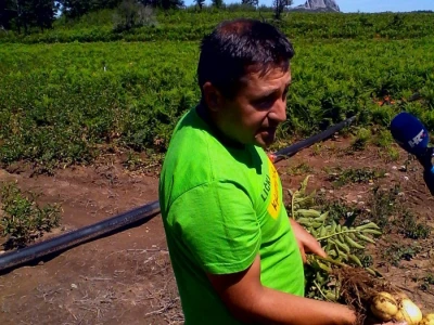 Agrovelebit iz Lovinca