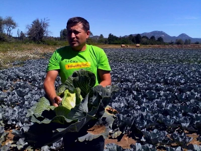 Agrovelebit iz Lovinca