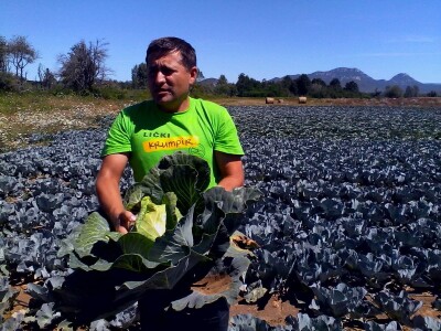Agrovelebit iz Lovinca Agrovelebit iz Lovinca