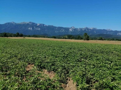 Agrovelebit iz Lovinca