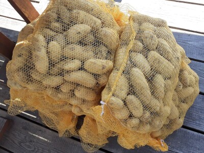 Agrovelebit iz Lovinca Agrovelebit iz Lovinca