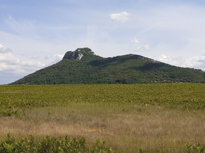 Agrovelebit iz Lovinca Agrovelebit iz Lovinca