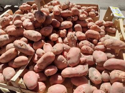 Agrovelebit iz Lovinca