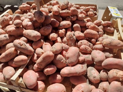 Agrovelebit iz Lovinca Agrovelebit iz Lovinca