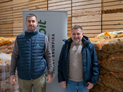 AgroVelebit svijet krumpira