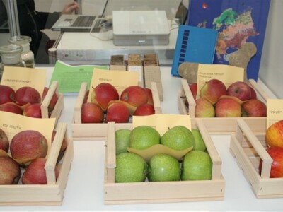 Agro Zemlja 2010, Bizovac