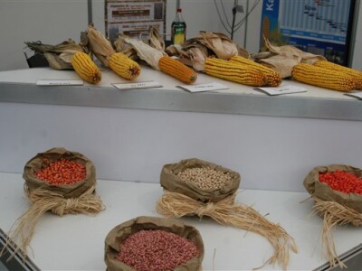 Agro Zemlja 2010, Bizovac