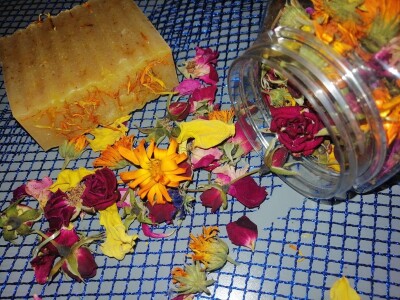 Ajša Hukić: Ljubav prema bilju uspješno pretočila u prirodnu kozmetiku Ajša Hukić: Ljubav prema bilju uspješno pretočila u prirodnu kozmetiku