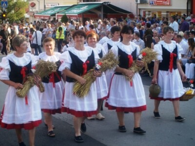 Dožínky 2014. u Kaptolu
