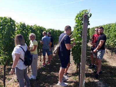 Akademska mobilnost na FAZOS-u