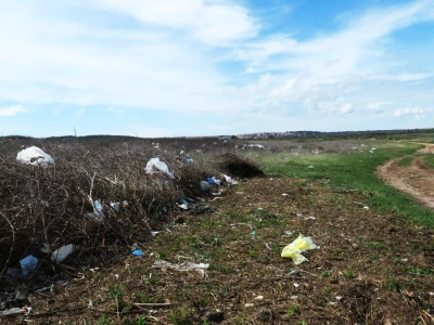 Akcija čišćenja obale kroz projekt Plastic Free Ližnjan