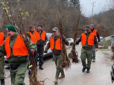 Akcija masovnog pošumljavanja "Zasadi za život" - Trnovo