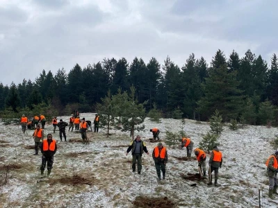 Akcija masovnog pošumljavanja "Zasadi za život" - Trnovo