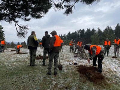 Akcija masovnog pošumljavanja "Zasadi za život" - Trnovo