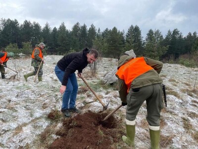 Akcija masovnog pošumljavanja "Zasadi za život" - Trnovo