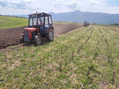 Akcija oranja u Izačiću
