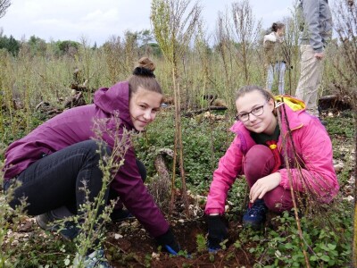 AKCIJA POŠUMLJAVANJA - U dva dana na šest hektara opožarenog Kožina kod  Zadra 800 volontera posadilo 10.000 stabala primorskog bora AKCIJA POŠUMLJAVANJA - U dva dana na šest hektara opožarenog Kožina kod  Zadra 800 volontera posadilo 10.000 stabala primorskog bora