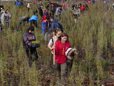 AKCIJA POŠUMLJAVANJA - U dva dana na šest hektara opožarenog Kožina kod  Zadra 800 volontera posadilo 10.000 stabala primorskog bora AKCIJA POŠUMLJAVANJA - U dva dana na šest hektara opožarenog Kožina kod  Zadra 800 volontera posadilo 10.000 stabala primorskog bora