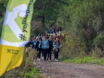 AKCIJA POŠUMLJAVANJA - U dva dana na šest hektara opožarenog Kožina kod  Zadra 800 volontera posadilo 10.000 stabala primorskog bora AKCIJA POŠUMLJAVANJA - U dva dana na šest hektara opožarenog Kožina kod  Zadra 800 volontera posadilo 10.000 stabala primorskog bora