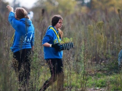 AKCIJA POŠUMLJAVANJA - U dva dana na šest hektara opožarenog Kožina kod  Zadra 800 volontera posadilo 10.000 stabala primorskog bora AKCIJA POŠUMLJAVANJA - U dva dana na šest hektara opožarenog Kožina kod  Zadra 800 volontera posadilo 10.000 stabala primorskog bora