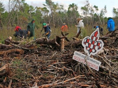 AKCIJA POŠUMLJAVANJA - U dva dana na šest hektara opožarenog Kožina kod  Zadra 800 volontera posadilo 10.000 stabala primorskog bora AKCIJA POŠUMLJAVANJA - U dva dana na šest hektara opožarenog Kožina kod  Zadra 800 volontera posadilo 10.000 stabala primorskog bora