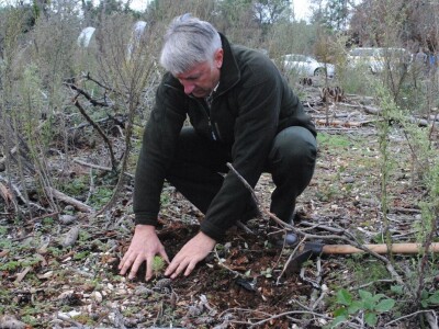 AKCIJA POŠUMLJAVANJA - U dva dana na šest hektara opožarenog Kožina kod  Zadra 800 volontera posadilo 10.000 stabala primorskog bora AKCIJA POŠUMLJAVANJA - U dva dana na šest hektara opožarenog Kožina kod  Zadra 800 volontera posadilo 10.000 stabala primorskog bora