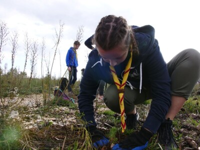 AKCIJA POŠUMLJAVANJA - U dva dana na šest hektara opožarenog Kožina kod  Zadra 800 volontera posadilo 10.000 stabala primorskog bora AKCIJA POŠUMLJAVANJA - U dva dana na šest hektara opožarenog Kožina kod  Zadra 800 volontera posadilo 10.000 stabala primorskog bora