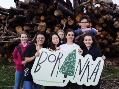 AKCIJA POŠUMLJAVANJA - U dva dana na šest hektara opožarenog Kožina kod  Zadra 800 volontera posadilo 10.000 stabala primorskog bora AKCIJA POŠUMLJAVANJA - U dva dana na šest hektara opožarenog Kožina kod  Zadra 800 volontera posadilo 10.000 stabala primorskog bora