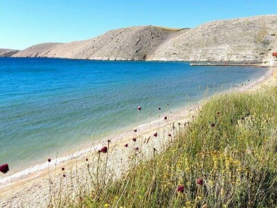 AKKIJA UDRUGE VOLIM VLAŠIĆI NA PAGU: „Molimo ne bacajte opuške, naše ribe i ptice ne puše“
