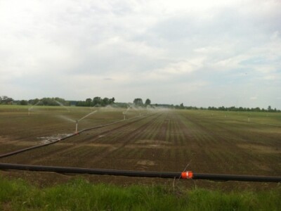 Navodnjavanje na 17ha, PIK Vinkovci d.d., Sopot