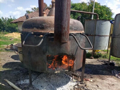 Aksentijevići 60.000 kilograma šljive pretvorili u rakiju, foto: A. Aksentijević