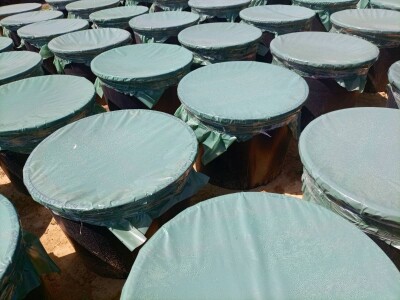 Aksentijevići 60.000 kilograma šljive pretvorili u rakiju, foto: A. Aksentijević