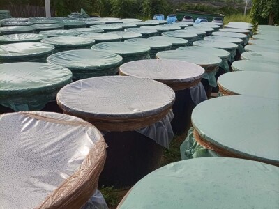 Aksentijevići 60.000 kilograma šljive pretvorili u rakiju, foto: A. Aksentijević