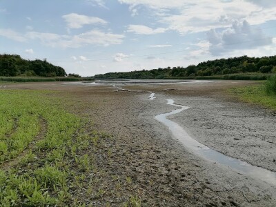 Akumulaciono jezero Ljukovo, Jarkovci