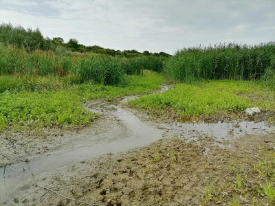 Akumulaciono jezero Ljukovo, Jarkovci